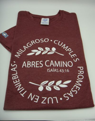 Camiseta “Abres caminos, cumples promesas” 3 img 3719 Camiseta “Abres caminos, cumples promesas”