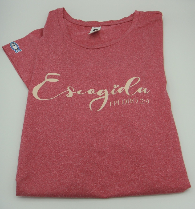 img_4189 img 4189 Camiseta “Escogida”