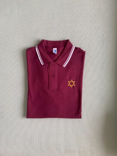 6e944a43 95fe 447b a946 9a90d14e438d Polos elegantes de hombre